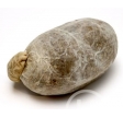 2012009000000_Game_-_Haggis.jpg